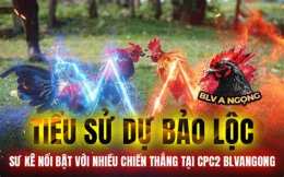 tính năng nổi bật đá gà cpc2 21/8