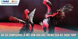 tính năng nổi bật đá gà dagatructiepcampuchia