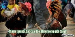 tính năng nổi bật đá gà dak peur