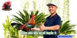 tính năng nổi bật da ga duyen ti