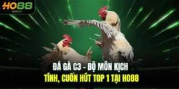 tính năng nổi bật đá gà giải c3 ngày 12/3