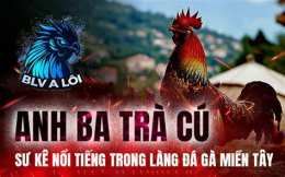 tính năng nổi bật đá gà miền tây 2020