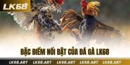 tính năng nổi bật đá gà ngày 20/10