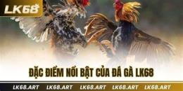 tính năng nổi bật đá gà ngày 29 tháng 8
