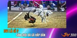 tính năng nổi bật đá gà on lai