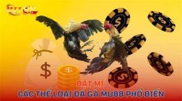 tính năng nổi bật đá gà phí