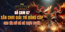 tính năng nổi bật đa ga sabong 67