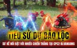 tính năng nổi bật đa ga thom bao sting