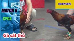 tính năng nổi bật đá gà thomo 8 2 2023