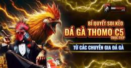 tính năng nổi bật đá gà thomo c4 c5