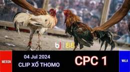 tính năng nổi bật đá gà thomo cpc1 cpc2, cpc3, cpc4