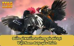 tính năng nổi bật đá gà trận 32c1
