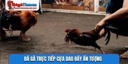 tính năng nổi bật đá gà trực tiếp 67 cựa dao