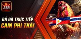 tính năng nổi bật da ga truc tiep c1 c2 c3 c4