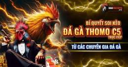tính năng nổi bật đá gà trực tiếp c5 c4