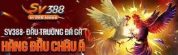 tính năng nổi bật đá gà trực tiếp sv 388