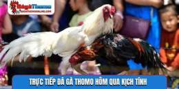 tính năng nổi bật da ga truc tiep thomo hom qua