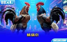 tính năng nổi bật đá gà trực tuyến c1