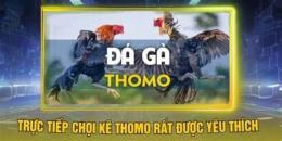 tính năng nổi bật da ga ucw88 truc tiep