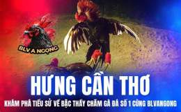 tính năng nổi bật đá gà uw99 online