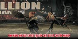 tính năng nổi bật da ga uy tin