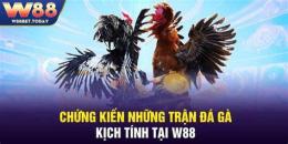 tính năng nổi bật đá gà w88 may88z