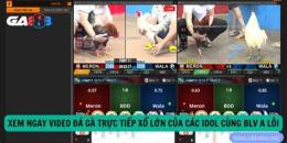 tính năng nổi bật đá gà xổ lớn
