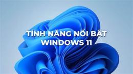 tính năng nổi bật đại lý gạo