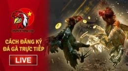 tính năng nổi bật đăng ký trang đá gà