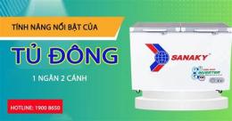 tính năng nổi bật đông nhỏ đá gà