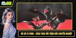 tính năng nổi bật fb88 đá gà
