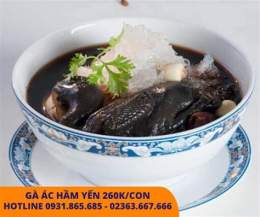 tính năng nổi bật gà ác ngũ trảo đà nẵng