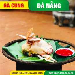 tính năng nổi bật gà cùa quảng trị tại đà nẵng