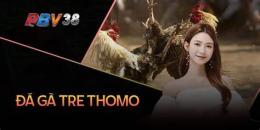 tính năng nổi bật ga don da ga tre thomo