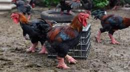 tính năng nổi bật ga dong tao da nang