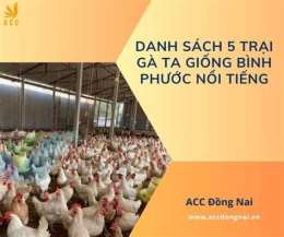 tính năng nổi bật gà giống phước đa