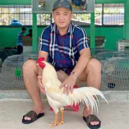tính năng nổi bật gà tân rạch giá đá với phúc bình dương