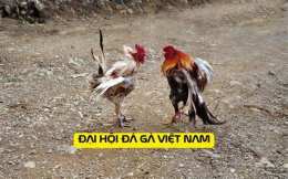 tính năng nổi bật ga thai lan da ga viet nam