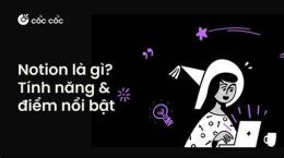 tính năng nổi bật gấu ở đâu khi gió đông đã về