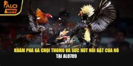 tính năng nổi bật hình ảnh của alo789 đá gà