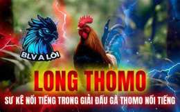 tính năng nổi bật lịch đá giải gà thomo
