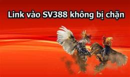 tính năng nổi bật link vào đá gà không bị chặn