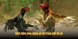 tính năng nổi bật mang ga da