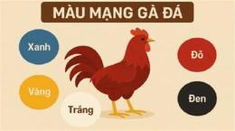 tính năng nổi bật màu mạng gà đá hom nay