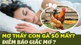 tính năng nổi bật nằm mơ thấy đá gà đánh con gì