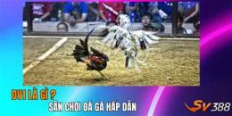 tính năng nổi bật nạn đá gà