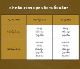 tính năng nổi bật ngày kỷ mão đá gà gì