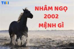tính năng nổi bật ngày nhâm ngọ đá gà gì
