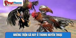 tính năng nổi bật những trận đá gà thomo