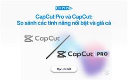 tính năng nổi bật phu phu đá gà